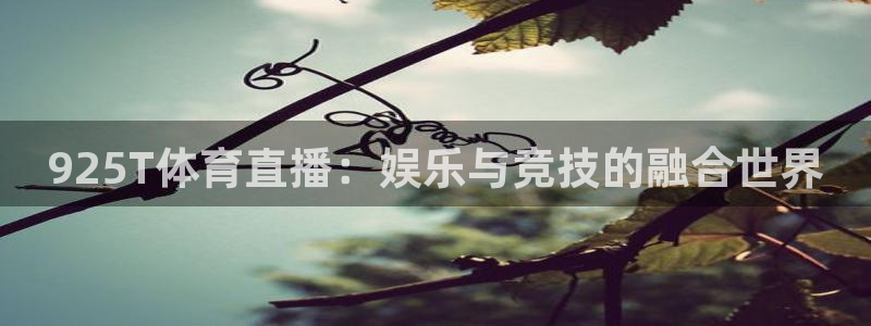 搜球吧直播nba中文直播：925T体育直播：娱乐与竞技的融合世界