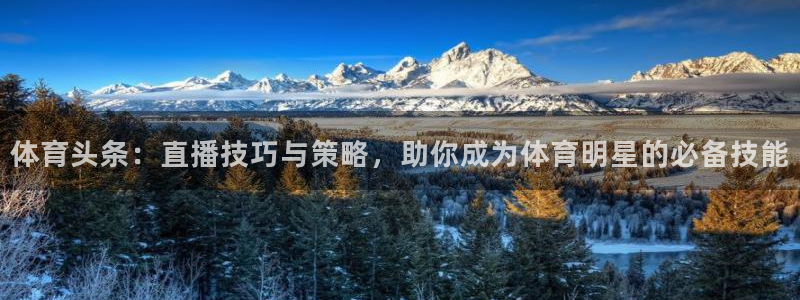 搜球直播吧：体育头条：直播技巧与策略，助你成为体育明星的必备技能
