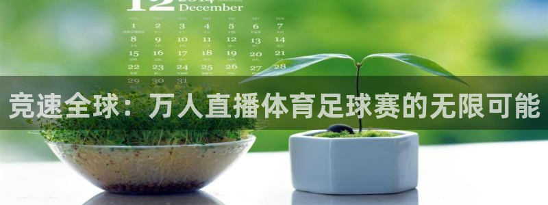 搜球吧8直播免费观看：竞速全球：万人直播体育足球赛的无限可能