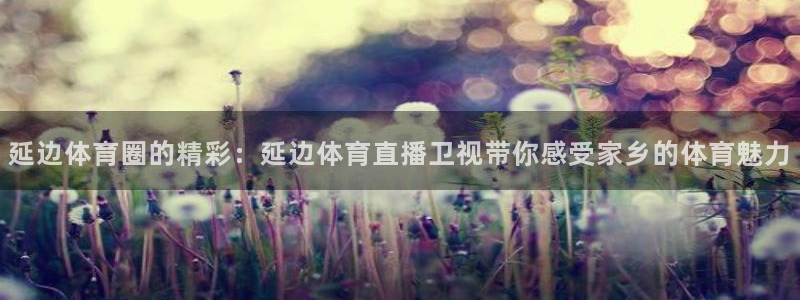 搜球吧 直播：延边体育圈的精彩：延边体育直播卫视带你感受家乡的体育魅力