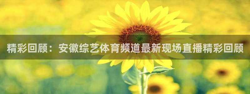 搜球体育直播app：精彩回顾：安徽综艺体育频道最新现场直播精彩回顾