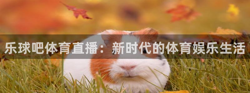搜球吧体育直播