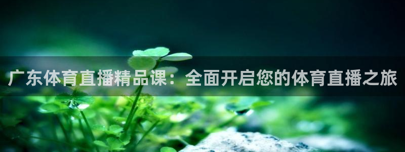 nba直播搜球吧：广东体育直播精品课：全面开启您的体育直播之旅
