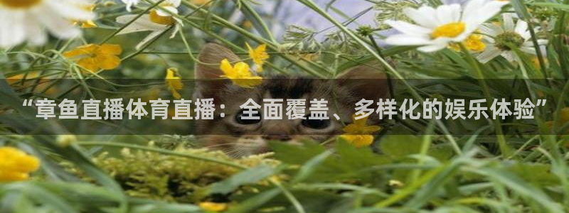 搜球吧直播 在线观看：“章鱼直播体育直播：全面覆盖、多样化的娱乐体验”