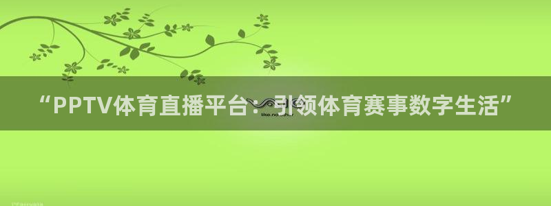搜球吧 直播：“PPTV体育直播平台：引领体育赛事数字生活”