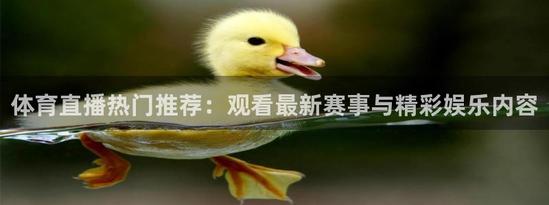 nba搜球吧直播：体育直播热门推荐：观看最新赛事与精彩娱乐内容