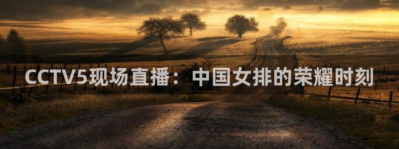 搜球直播体育：CCTV5现场直播：中国女排的荣耀时刻